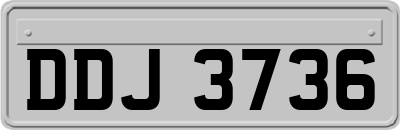 DDJ3736