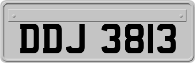 DDJ3813