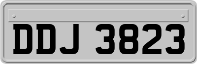 DDJ3823