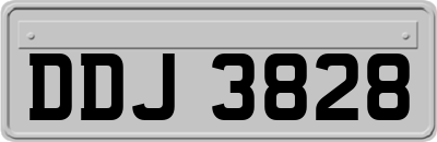 DDJ3828