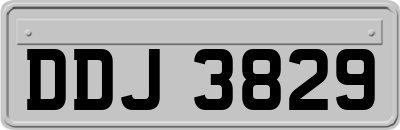 DDJ3829