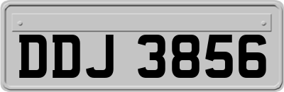 DDJ3856