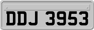 DDJ3953