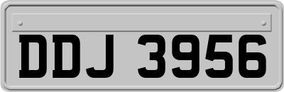 DDJ3956