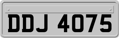 DDJ4075