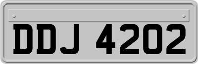 DDJ4202