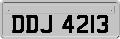 DDJ4213