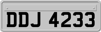 DDJ4233