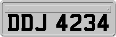 DDJ4234