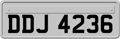 DDJ4236
