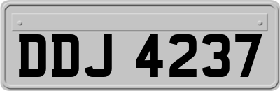 DDJ4237