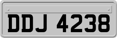 DDJ4238
