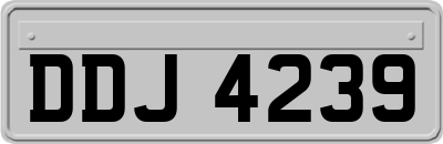 DDJ4239