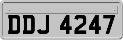 DDJ4247
