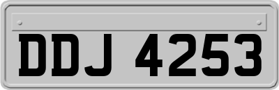 DDJ4253
