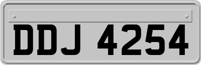 DDJ4254
