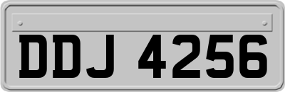 DDJ4256
