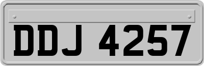 DDJ4257