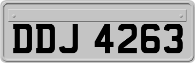 DDJ4263