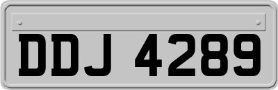 DDJ4289
