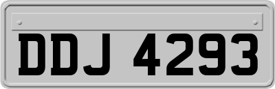 DDJ4293