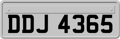 DDJ4365