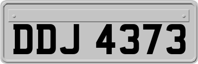 DDJ4373