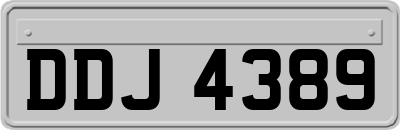 DDJ4389