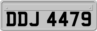 DDJ4479