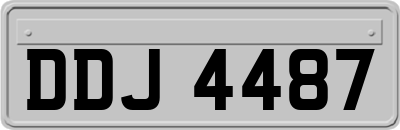 DDJ4487