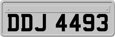 DDJ4493