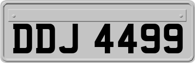 DDJ4499