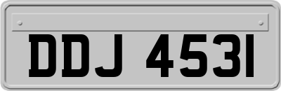 DDJ4531