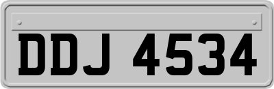 DDJ4534