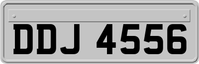 DDJ4556