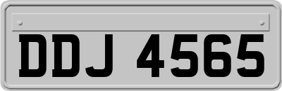 DDJ4565