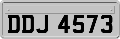 DDJ4573