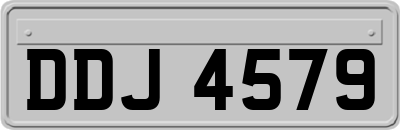 DDJ4579