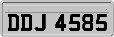 DDJ4585