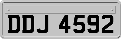 DDJ4592
