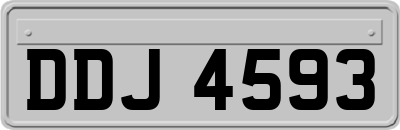 DDJ4593