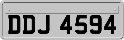 DDJ4594