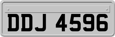 DDJ4596