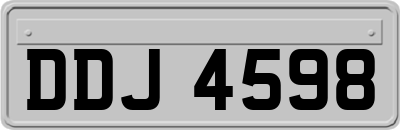 DDJ4598