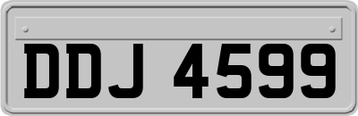 DDJ4599