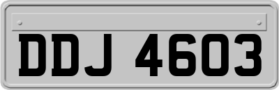 DDJ4603