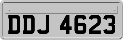 DDJ4623