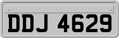 DDJ4629