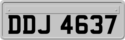 DDJ4637