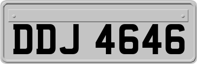 DDJ4646